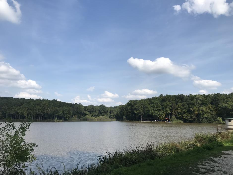 Prekmurje | Avtor: Žurnal24 