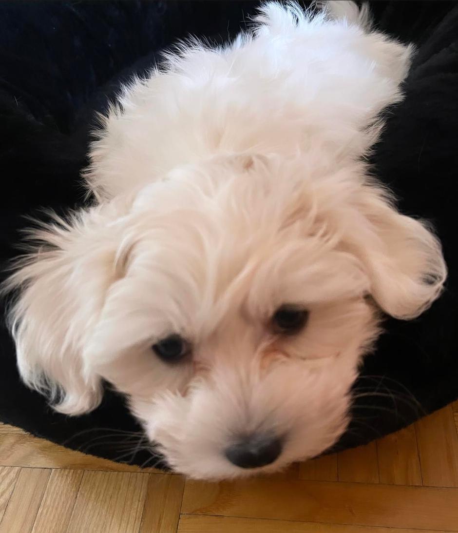 carmen osovnikar | Avtor: Andreja Cilenšek