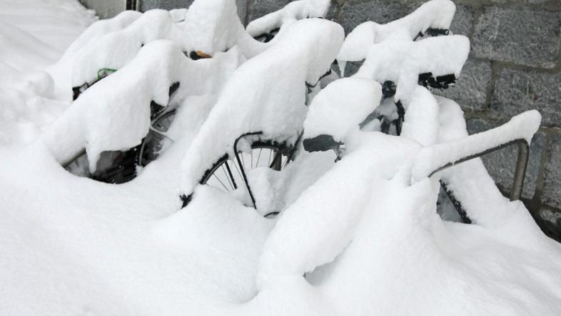 Sneg v Ljubljani 