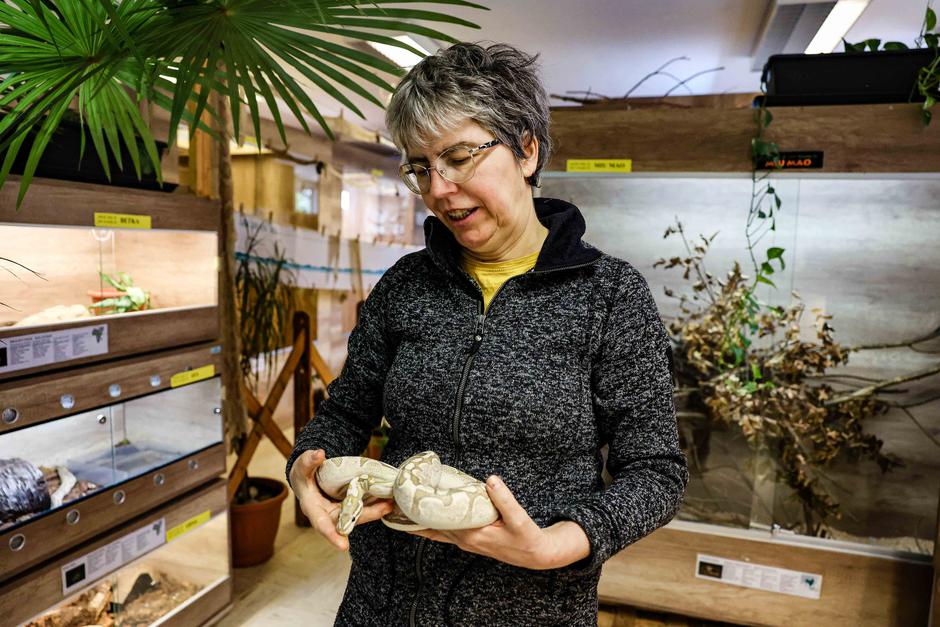 Nika Leben | Avtor: Saša Despot