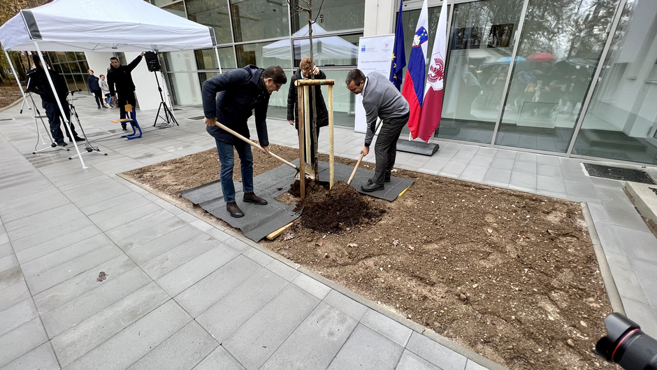  | Avtor: Peter Šalamon