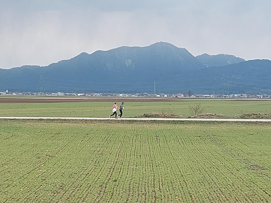 kmetijstvo, polje, hrana