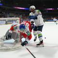 Slovenija - Češka