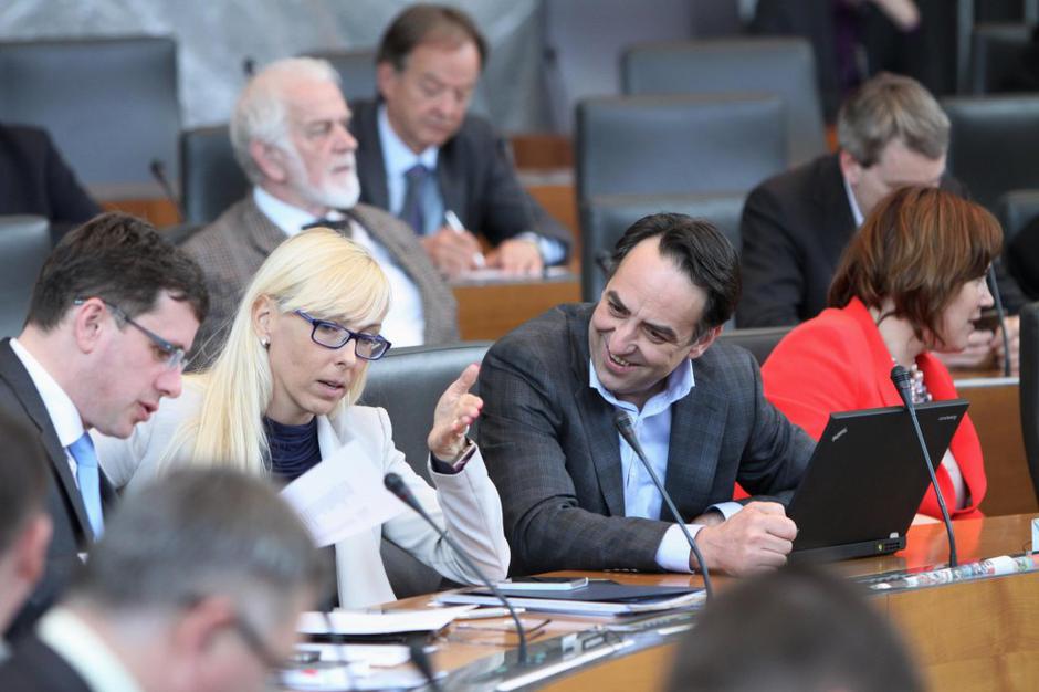državni zbor poslanci Melita Župevc | Avtor: Martina Čuk/Državni zbor
