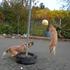 psa se igrata z žogo