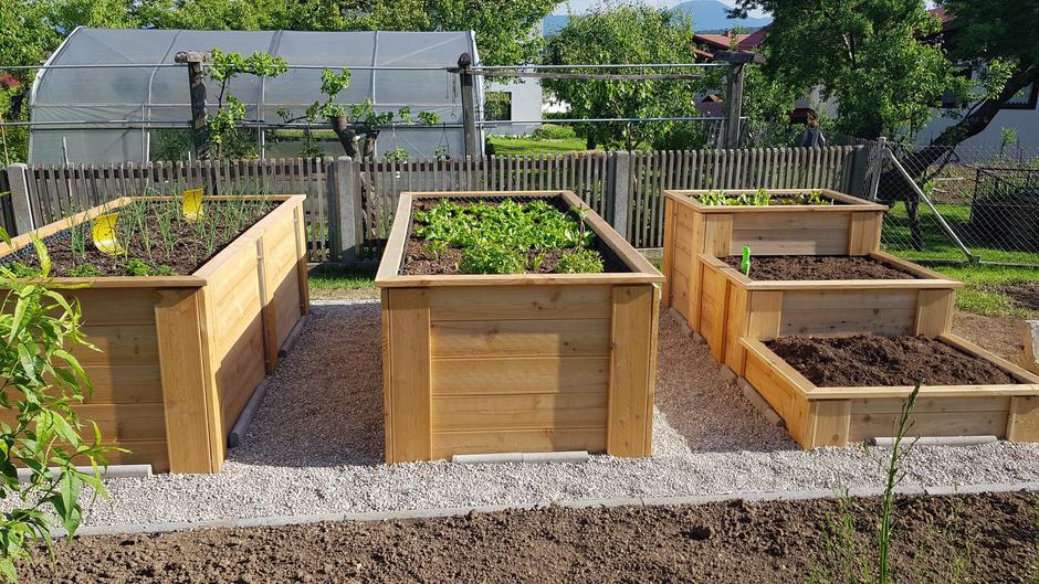 Eksenales | Avtor: Eksenales