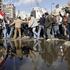 Egipt protesti
