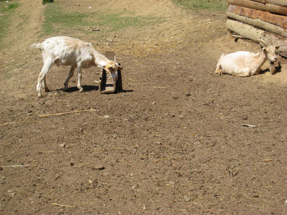  | Avtor: Žurnal24 main