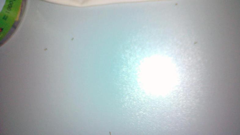 Študentka poudari, da se hišnik opozorilom navkljub ne zgane. "Še za popravilo l