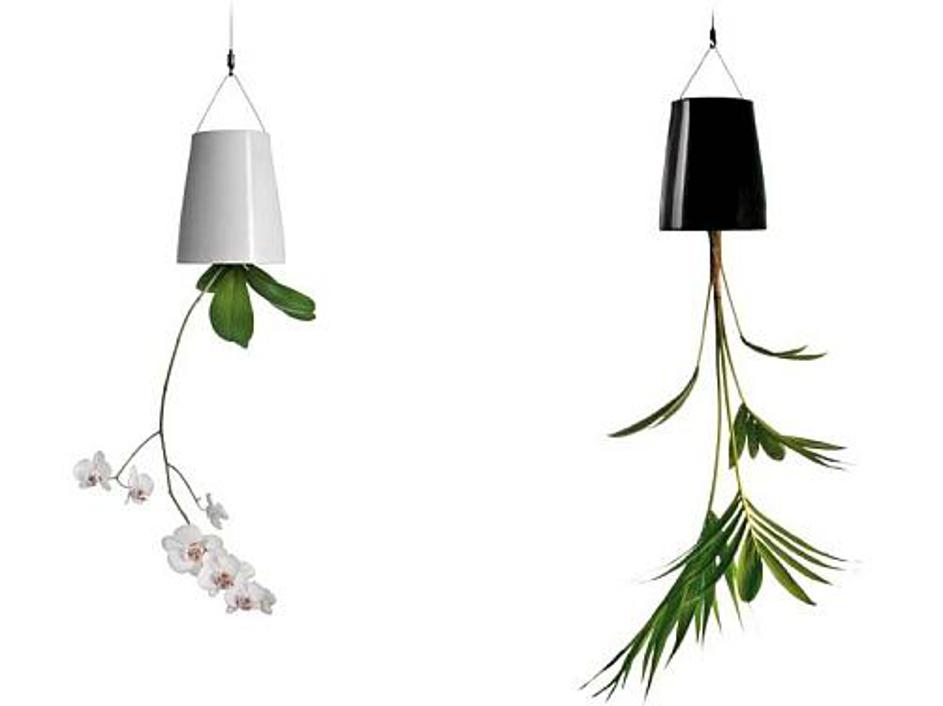 Od zgoraj navzdol ...