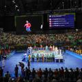 Rio 2016 boks