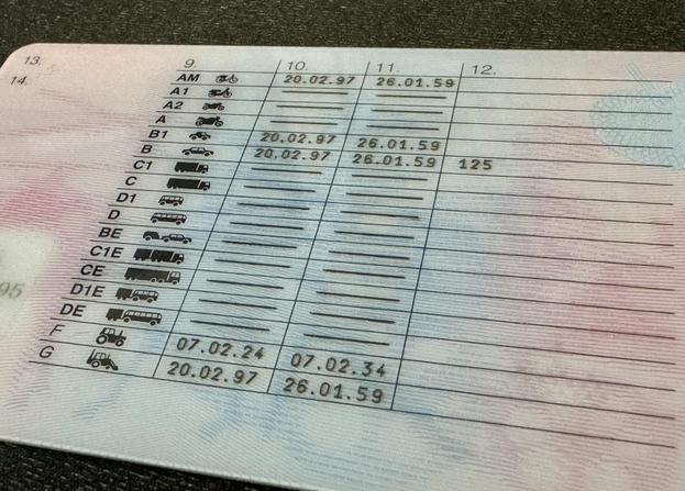 Vozniško dovoljenje