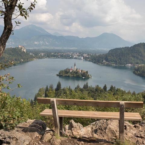 Osojnica Bled