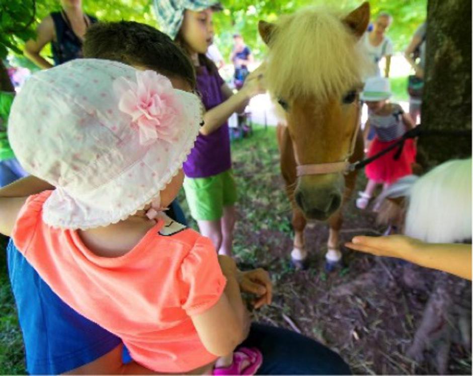 Čarobni dan | Avtor: Kristjan Šmigoc - Kriko