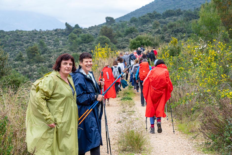  | Avtor: Dimitri Medvedev