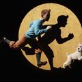 Tintin in njegove pustolovščine
