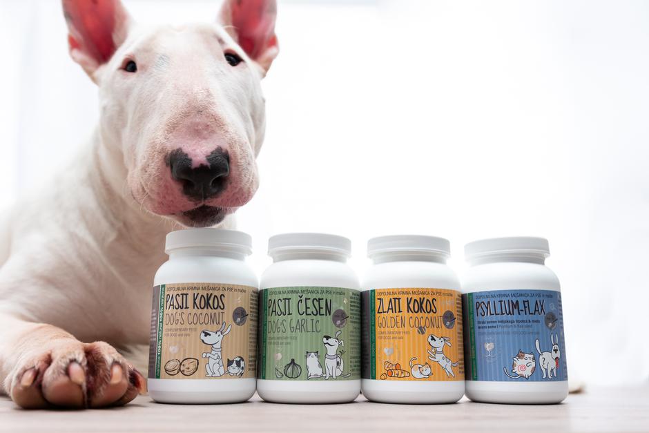 Naravno zdrav pes | Avtor: Naravno zdrav pes