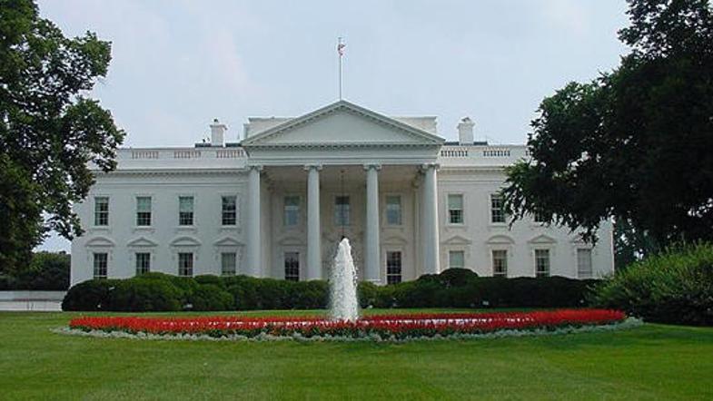 Zakonca sta se v petek pred sodiščem v Washingtonu izrekla za nedolžna glede obt