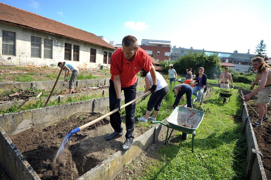 Prostovoljci so pomagali zapornikom urejati zelenice na Povšetovi ulici.