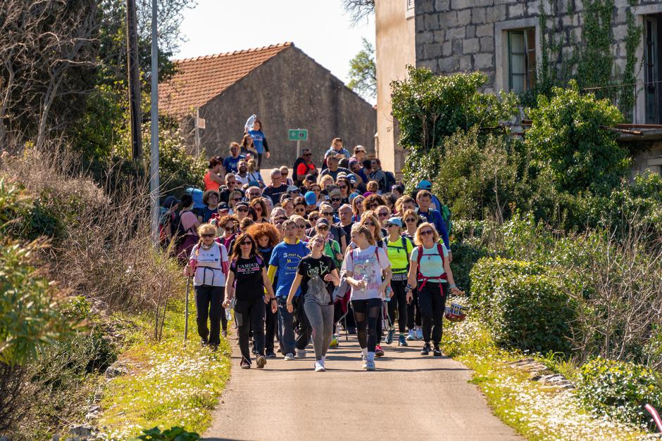  | Avtor: Dimitri Medvedev