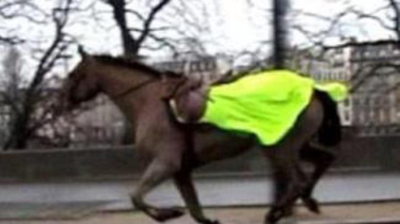 Ubežnik med šprintom ob Seni ...