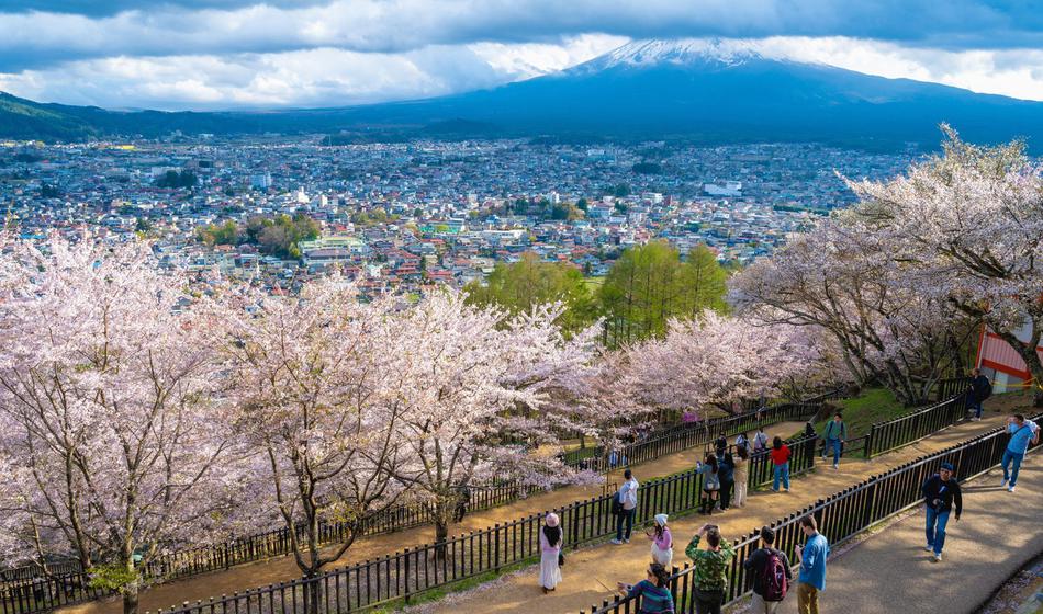 Zaradi neprimernega vedenja so odpovedali celoten festival