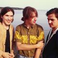 mark hollis