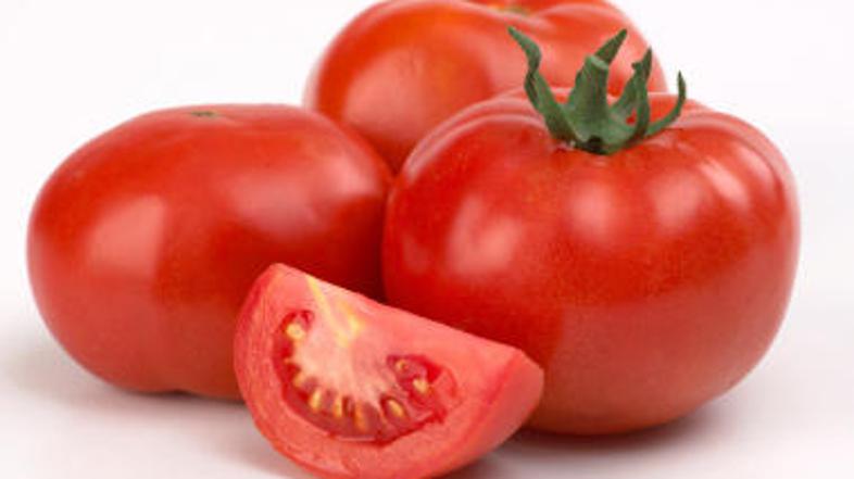 Na paradižnike se je salmonela po vsej verjetnosti prenesla prek zalivanja ali p