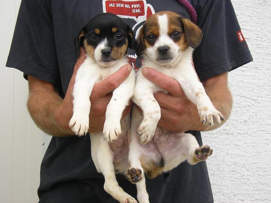  | Avtor: Žurnal24 main