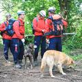 psi reševalci mednarodna vaja vodnikov reševalnih psov