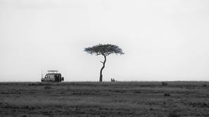Safari v Afriki