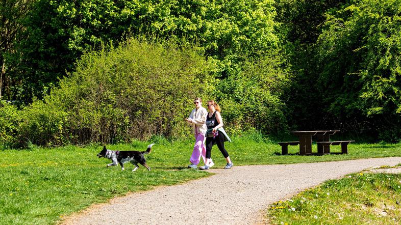 pomlad narava park drevesa ljudje se sprehajajo
