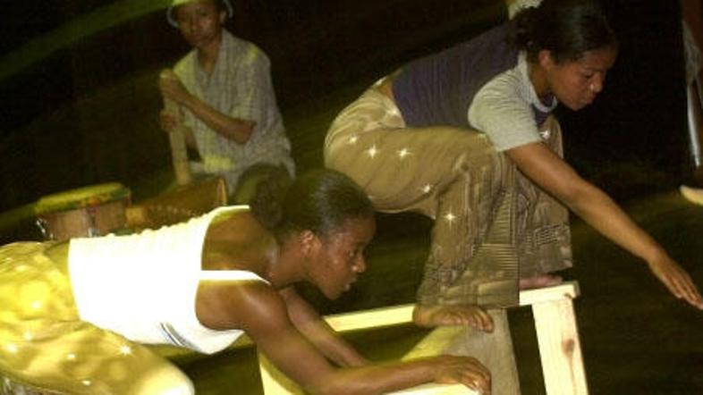 Zvečer se bo v Ljubljani začel festival Mladi levi.