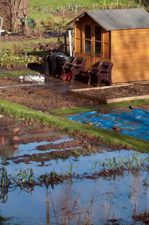 poplava na vrtu