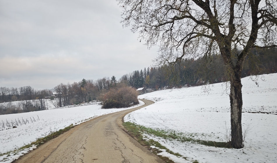 Novo o snegu: Šlo bo nižje od prvotnih napovedi