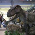 Predstavljeni dinozavri so bili izdelani v Avstraliji in so najmodernejša različ