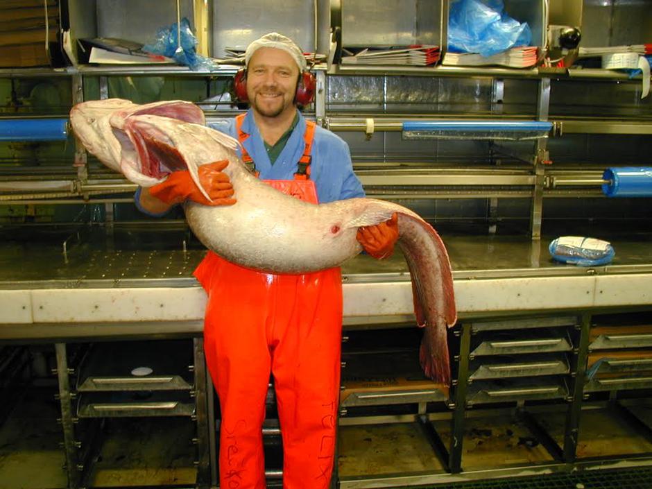 Srečko Brezovšek | Avtor: Andreja Cilenšek