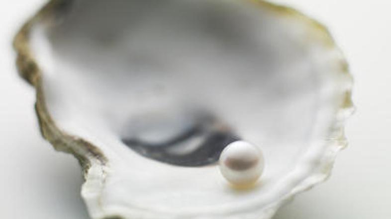 Ostriga rekorderka je skrivala več biserov.