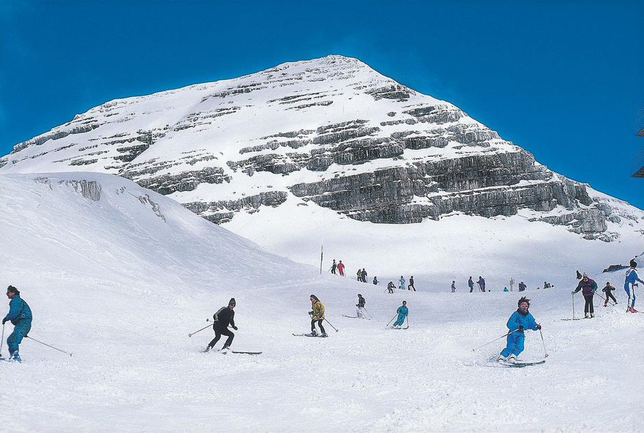 Kanin | Avtor: Profimedia