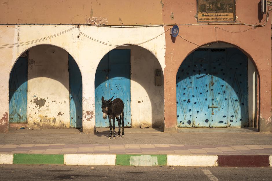 Mazda Epic Drive v Maroku | Avtor: Mazda