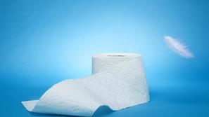prebava, toaletni papir