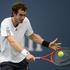 andy murray us open