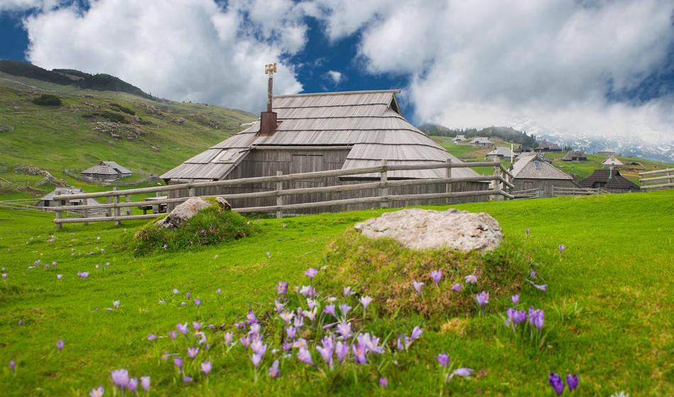 Neprijetno presenečenje za obiskovalce Velike planine, v dolino so morali ...