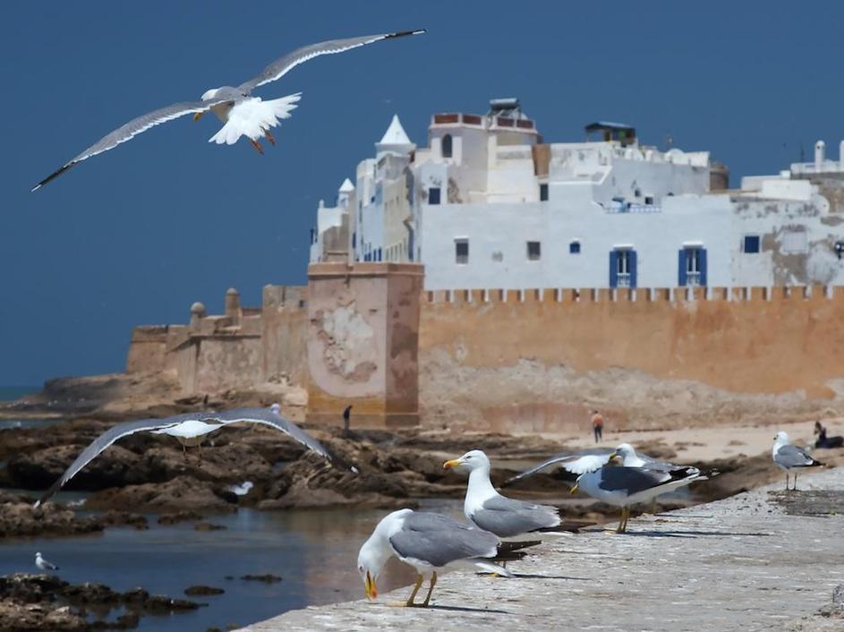 Essaouira, Maroko