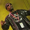 Roots Manuva je popolnoma prevzel hip-hopovsko usmerjene obiskovalce.