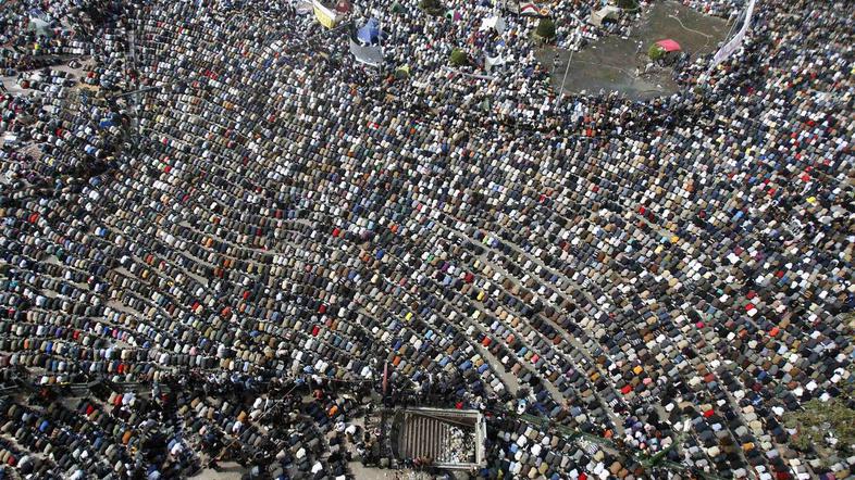 Protestniki, ki so v Egiptu dosegli odstop Hosnija Mobaraka. (Foto: Reuters)