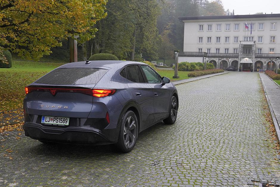 Cupra tavascan | Avtor: Matija_Janežič