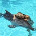 Več o alfaterapiji lahko najdete na www.dolphinswim.net.