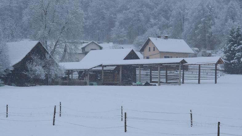 Ukrepi kmetijske politike naj ne bi omogočali spodbujanja razvoja malih kmetij. 