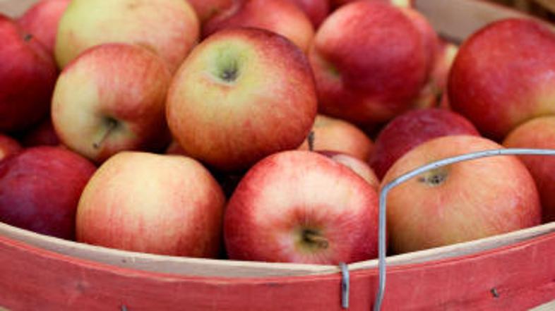 "Brezalkoholna" jabolka so poslancu povzročila nemalo težav.